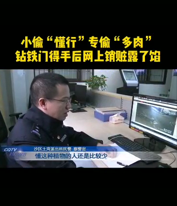 爱养生的魔兽 重庆一男子偷3盆多肉，主人报了警，知道价格后男子直接被刑拘