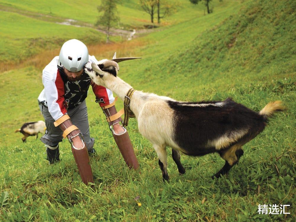  如果今天的人类开始用四条腿走路，会发生什么变化？