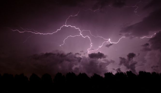 适者生存 中国股市曝光一大信号，A股迎来大变局，散户适者生存