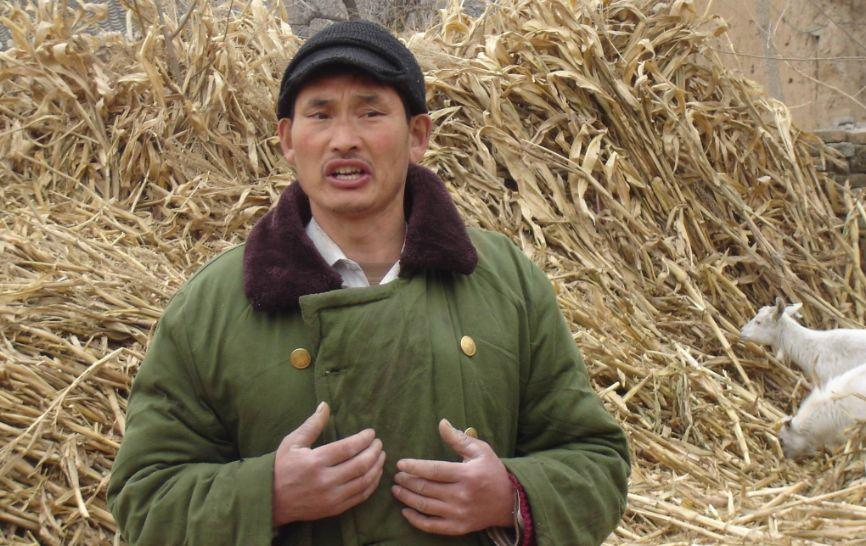 陈亚男|嫁入朱之文家150天后，年仅20出头的陈亚男，成立公司当起老板