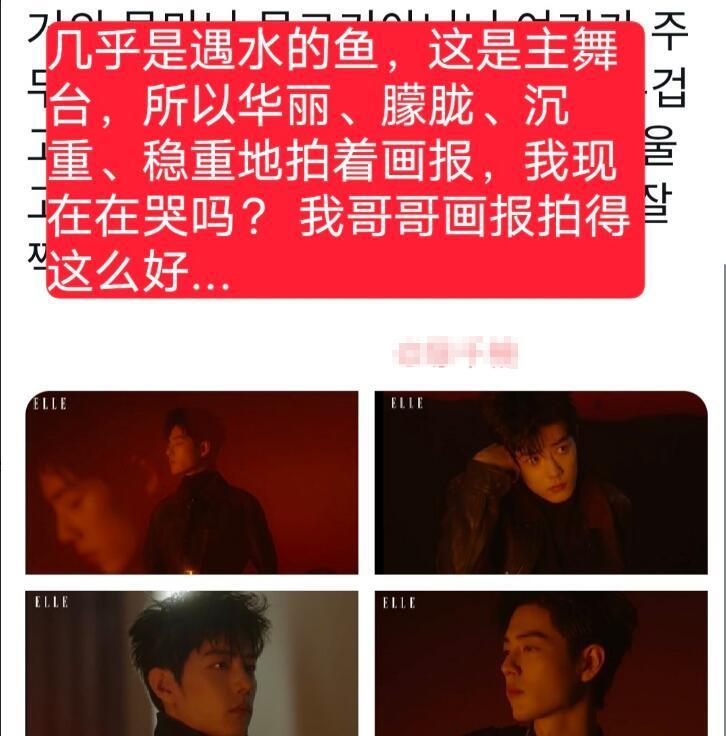 肖战|肖战登《Elle》韩国引热议，语无伦次却好会夸，要“美神”负责？