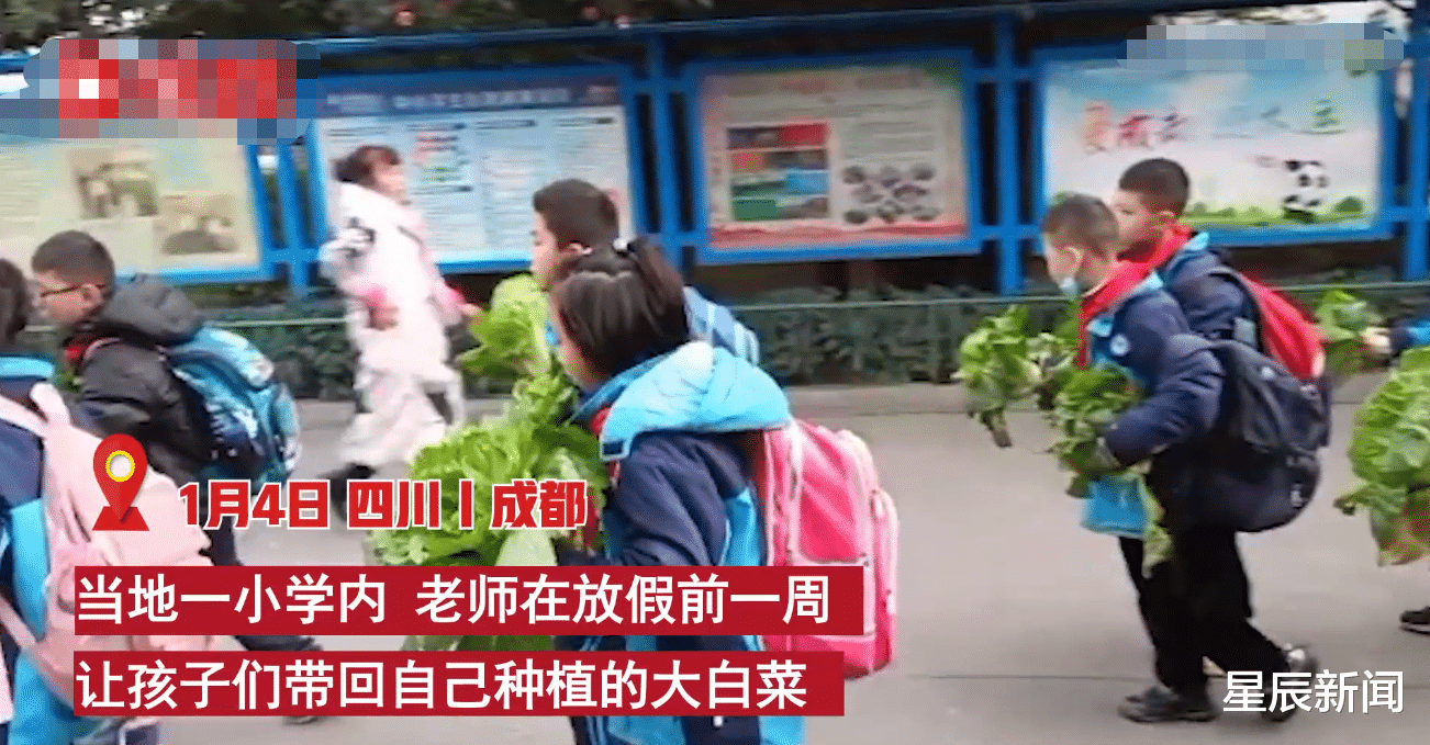 中小学|山村小学奖励优秀学生每人一头猪，家长笑到合不拢嘴，网友：太实在！