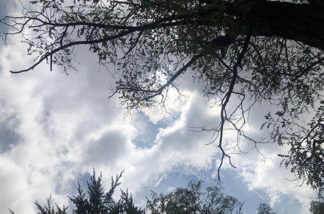 秋分 俗话说：“月夕秋分前，必定是灾年”，八月十五与秋分有啥关系？