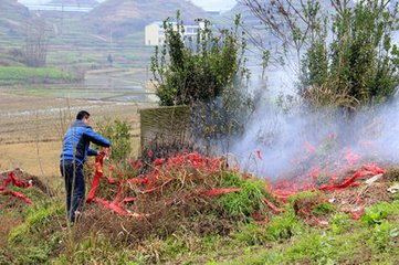 金凤说趣闻|女儿去世3年，托梦说要结婚了，母亲连倒三瓶酒，呛出了未来女婿