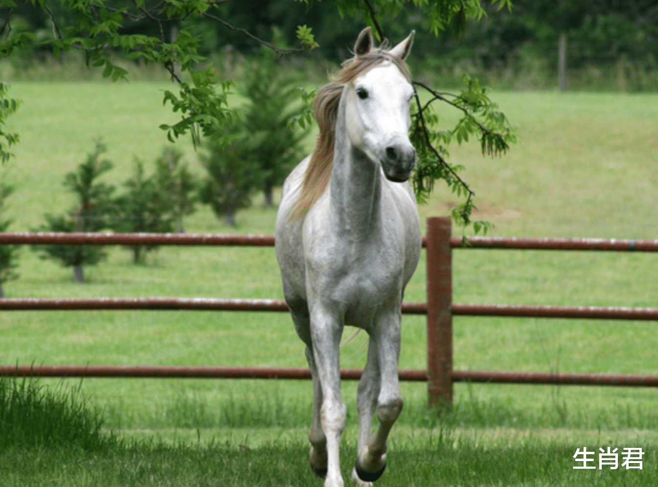属马|未来20天，属马人事业持续走上坡路，在职场中开挂不是梦