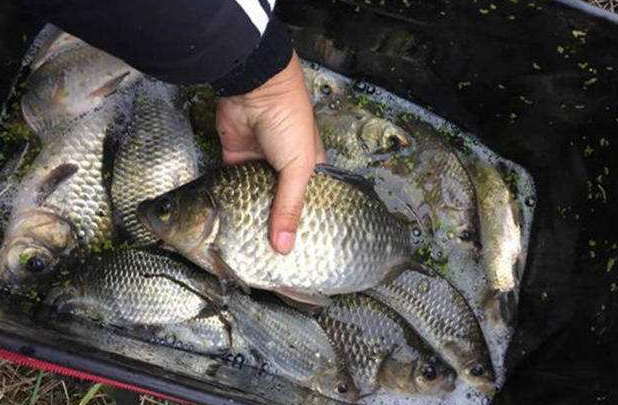 皮划艇|冬天为了钓个小鲫鱼，高科技都用上了，有必要么？选准钓点才重要