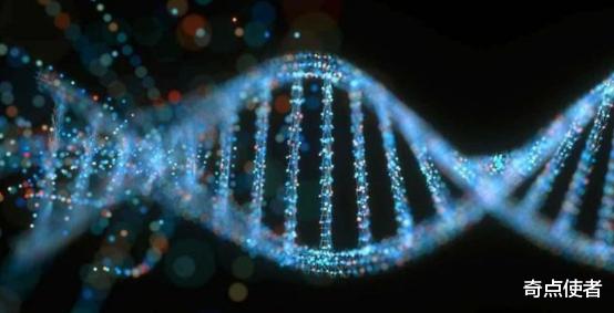 北斗导航 侏罗纪世界要来了？我国科学家疑在恐龙化石中发现DNA，却被质疑