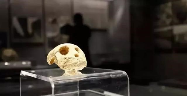 科学家 中国发掘的古人类化石，推翻了“夏娃理论”！人类并非起源非洲？