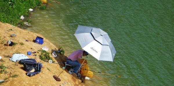 浙江省|浙江男子野钓遇“四脚怪鱼”,看清后吓出一身汗,都是放生惹的祸