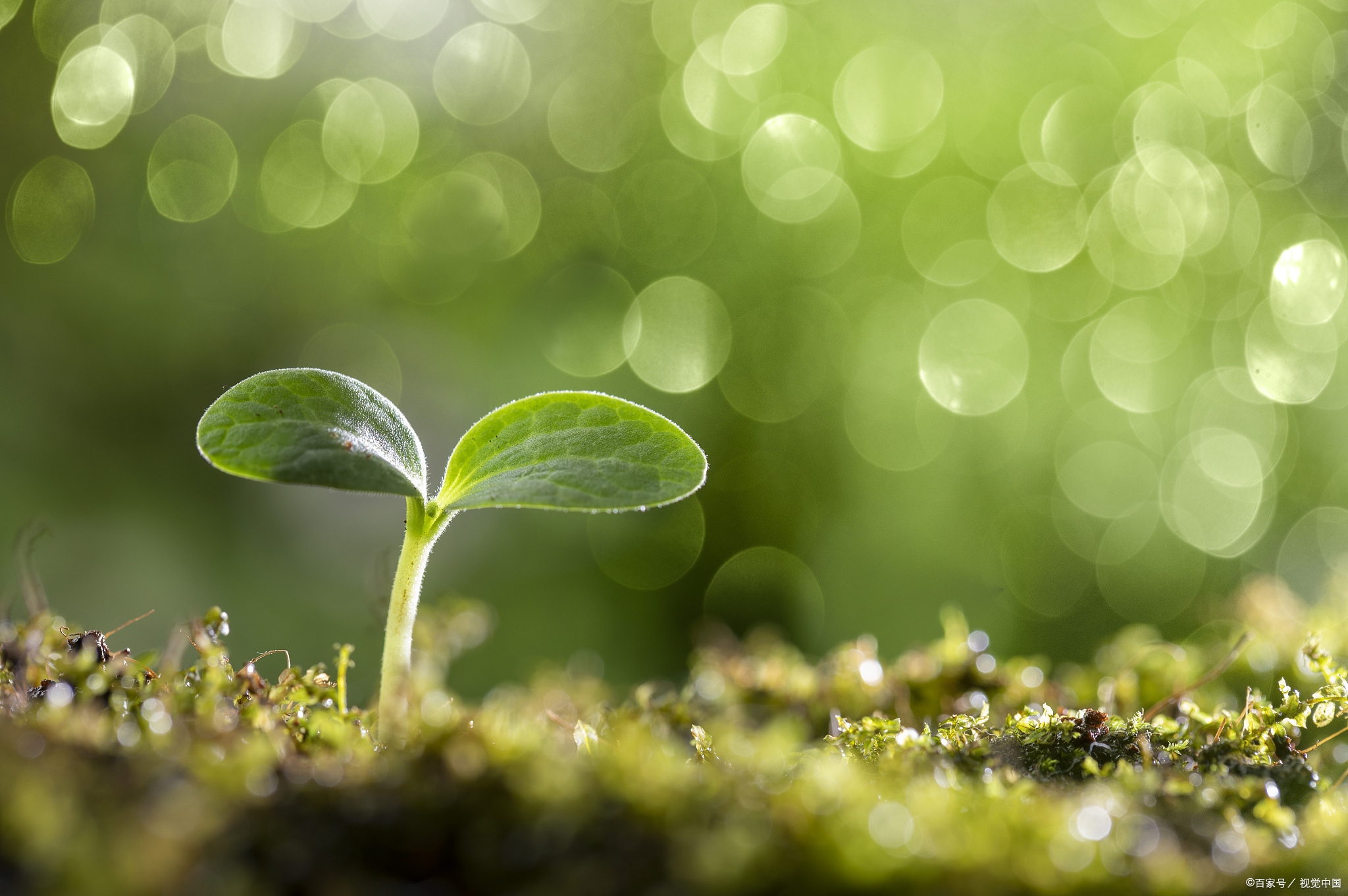 运动|少生病，健康生活的四大法宝