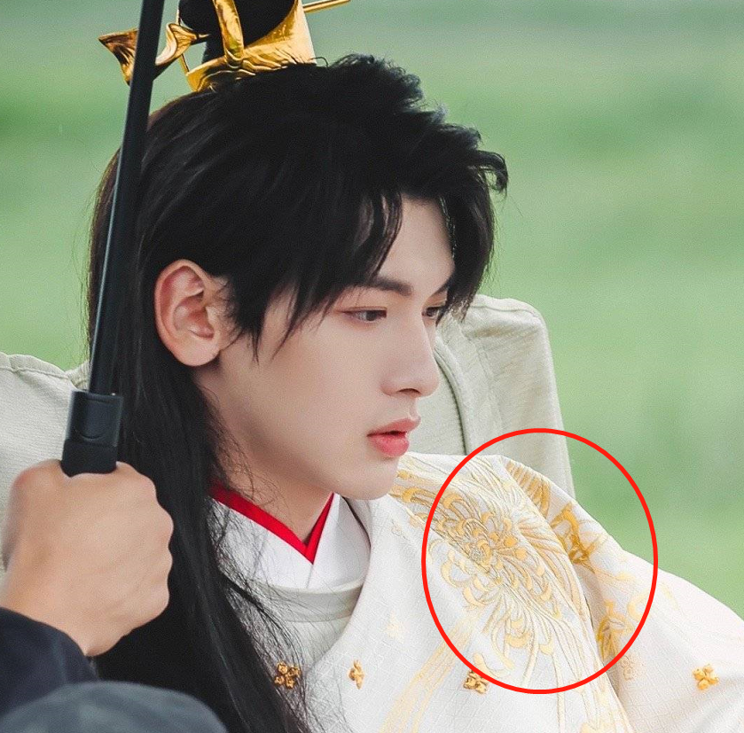吉星高照|《吉星高照》太子悦神装扮出来了，谢怜的衣服上为啥绣菊花？