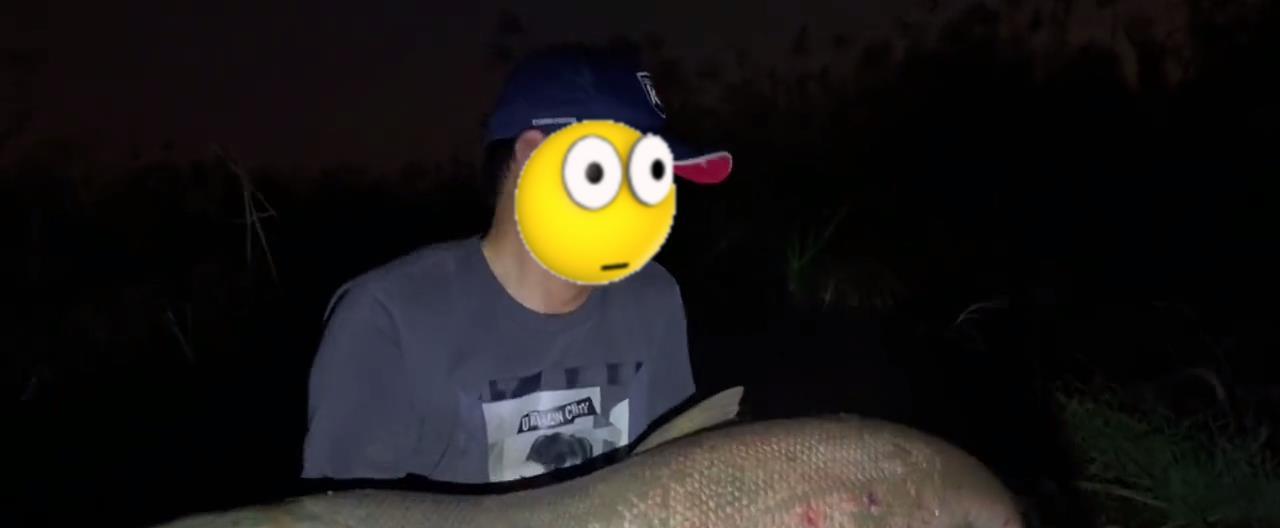 老虎|从下午钓到晚上！洪湖钓友遭遇78斤大型水老虎，耗时2小时才钓起