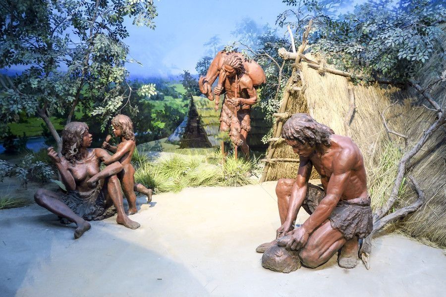 人类是如此孤独:整个地球没有一种动物可以跟人类对抗!