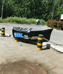 萌萌萌说|给你500万，但你在一年之内必须完成下面一个任务，你会怎么选？