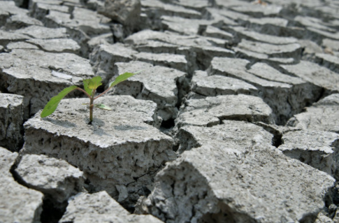 环球视野秘闻|IPCC:全球变暖导致洪水、干旱、高温变得频繁