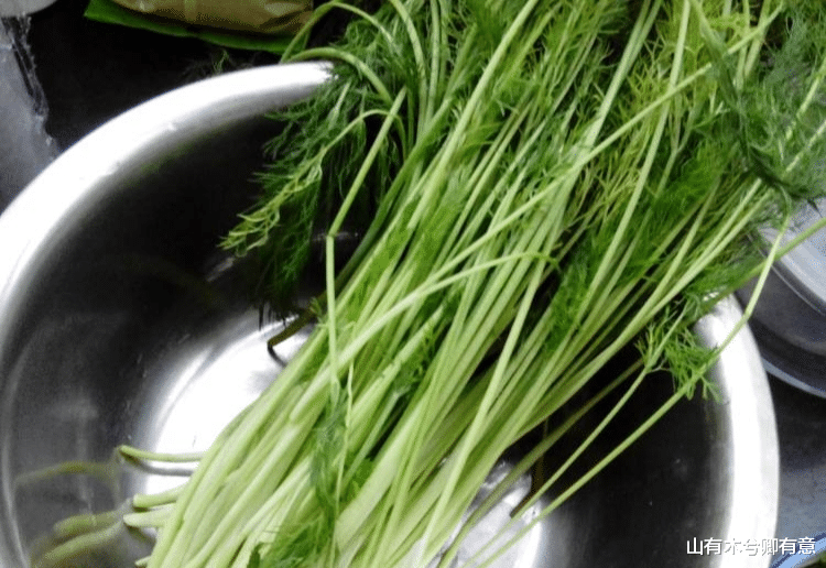 炒鸡蛋|湿气重多吃这菜,简单炒一炒,营养极高,排,湿气不见了,身体变轻松