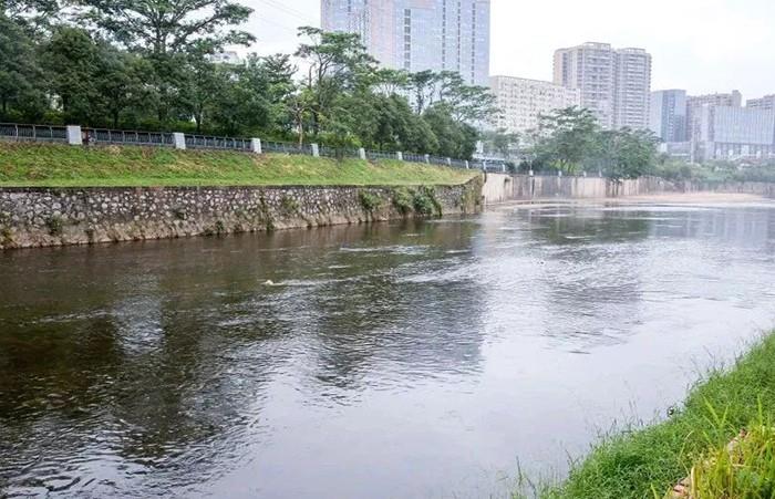 |冬季钓鱼,别再“人找鱼”,下点猛料鱼儿乖乖“报道”