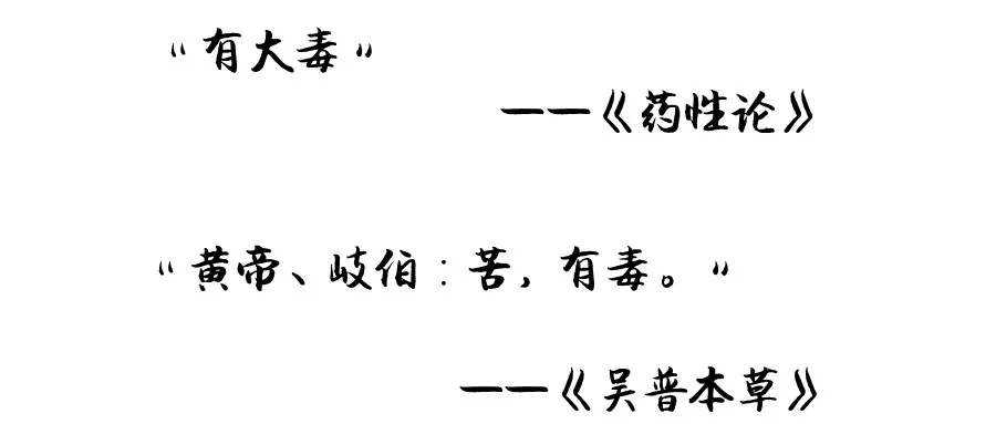 shopify 朱砂   救人于水火 杀人于无形