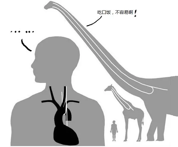  人的7大缺陷，有一个你绝对意想不到~