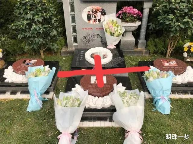 王祖蓝|朱舅舅破冰图与小贞的菱形冰图呼应 寓意深远