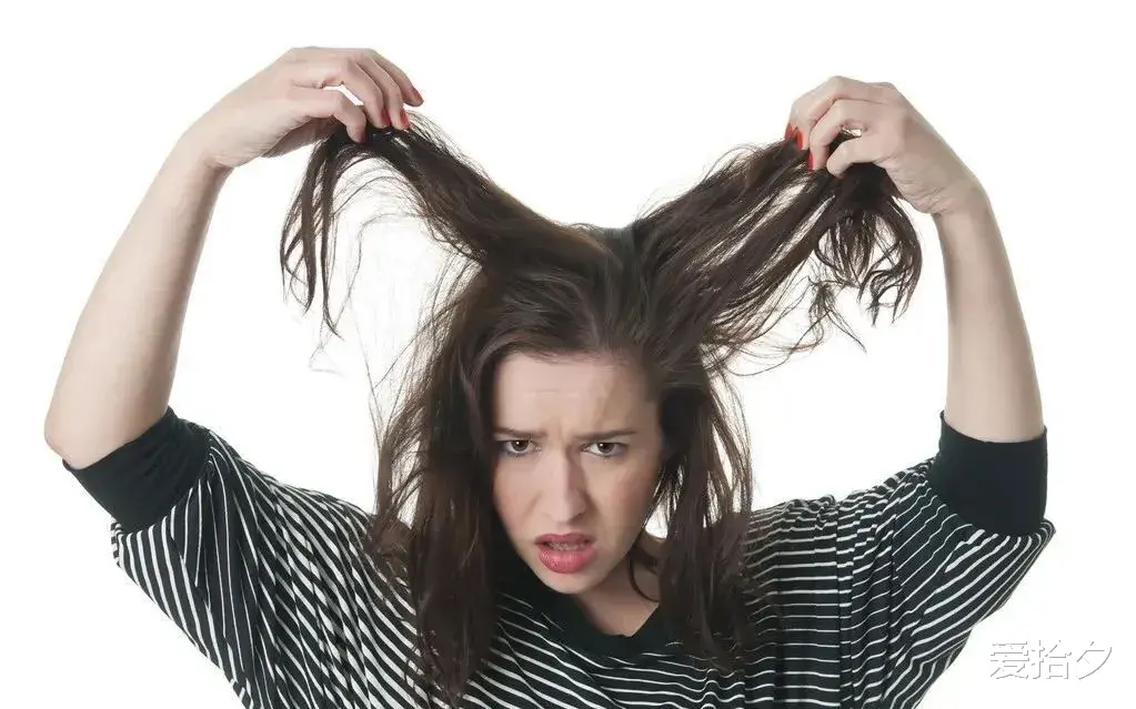 爱拾夕 为什么年龄大的女人离婚或丧偶后,不要轻易再婚?