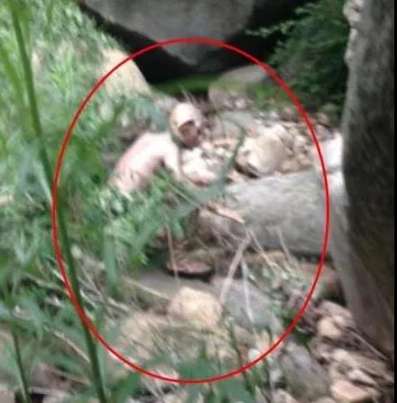 外星人 奇闻异事：外星人露面？怀柔人形生物，这结局有点令人想不到