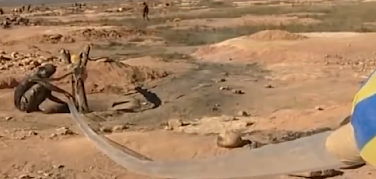 奇趣大天|非洲钻石为什么叫“血钻”?暴利行业!太多人为了生活拿命换钱屡禁不止!