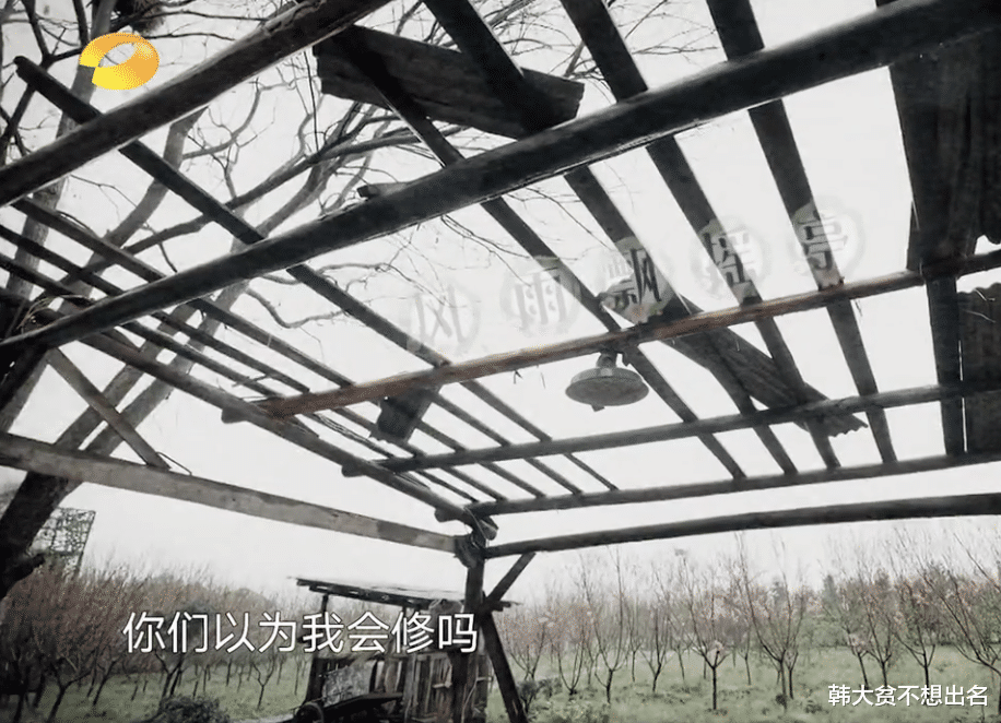 黄晓明|《向往5》我是真的感受到了黄磊的无奈，对这个节目的失望……