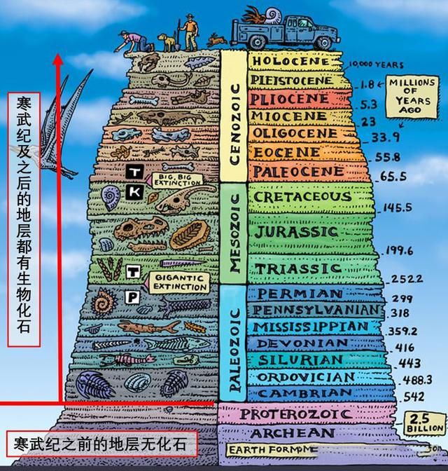 为何说章鱼是外星生物?九个大脑,两套记忆系统,还有一身怪本领