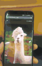 咸蛋的小姐|蚊子咬我不咬老公是因为我香吗？哈哈哈，神评小伙也太耿直了！