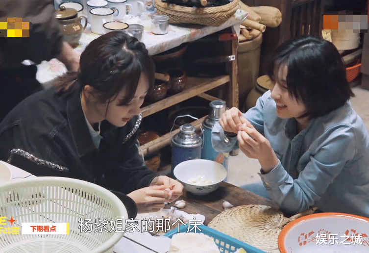 杨紫|《向往5》下期要火!杨紫来蘑菇屋做客,人缘太好成为新“团宠”