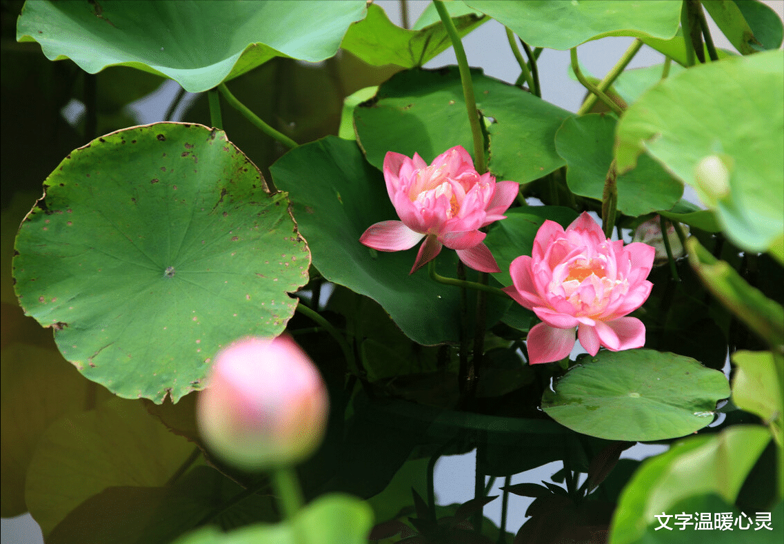 |一个家庭富不起来，往往有这些原因，别不当回事！看看对自己很好