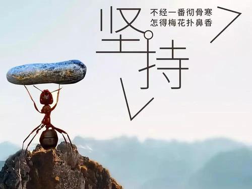 你的大脑认知里面,很多的观念都是错误的,所以失败是必然的结局