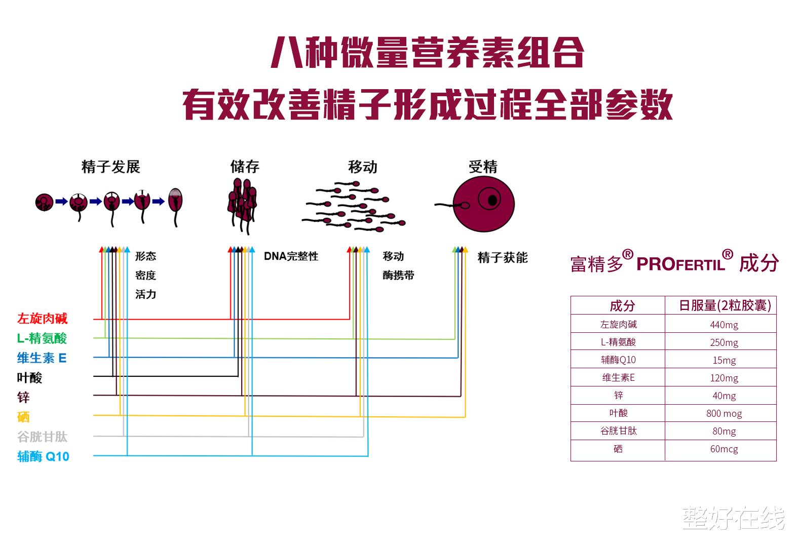 整好在线 扎心了！90后精子质量可能还不如爷爷辈？