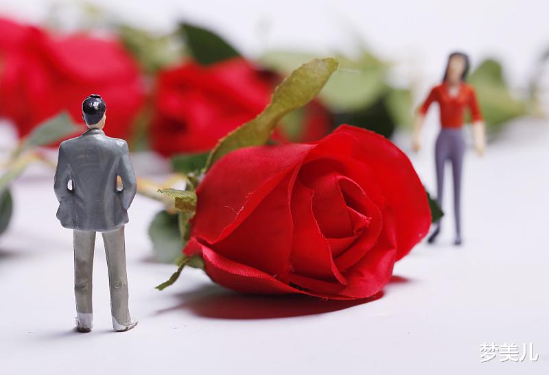 梦美儿|情人翻脸,转身无情