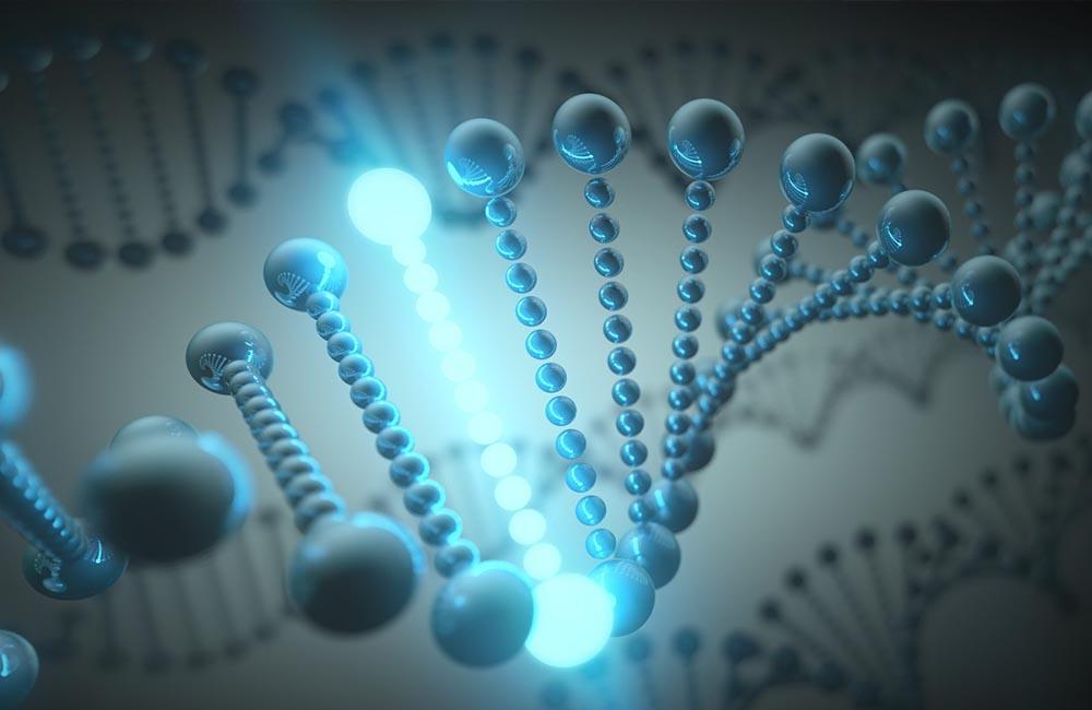 科学家 科学家们实时观察细菌修复断裂的DNA，以了解它是如何完成的