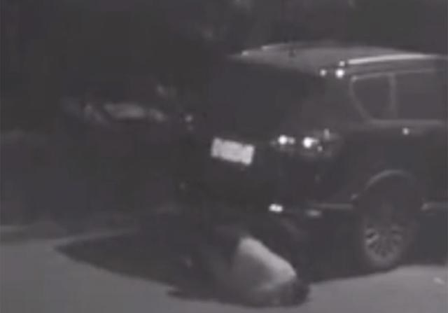 天天按沙漏 杭州一女子深夜在街上爬行：喝多了没人管，掉河里自己爬了上来