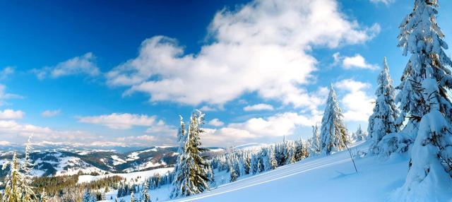 青霉素|天然“青霉素”公布，冬天要多吃，消炎杀菌，能增强免疫力