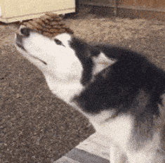 彩礼 谁能救我爸就嫁给谁，先给彩礼40万我就呵呵了，网友：就怕慢慢还