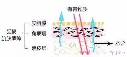 护肤品 为什么护肤时脸上有刺痛感？别总怪护肤品，可能是问题在于皮肤！