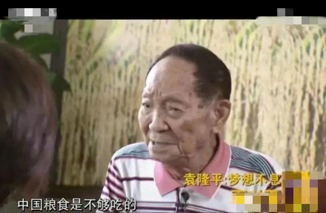 苏芒|袁隆平刚去世，娱乐圈丑闻激怒网友：有种浪费，不可原谅