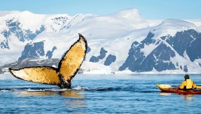死亡冰柱 南极现“死亡冰柱”!形成速度极快,所到之处没有任何生命迹象