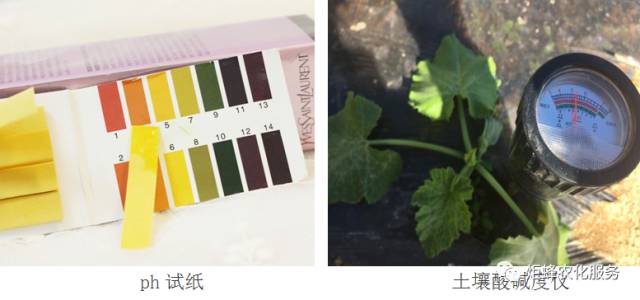 农圣教育:高级农艺师-作物根系生长三要素