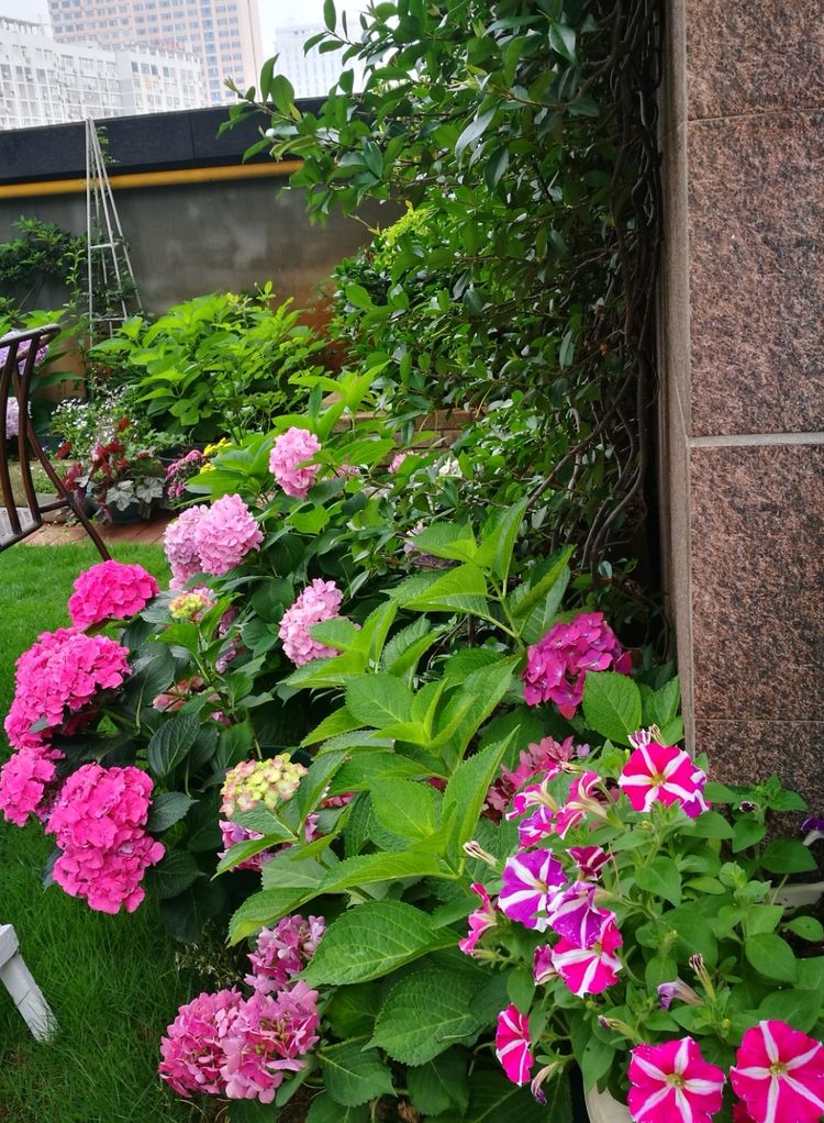 为这300㎡露台花园，毫不犹豫买了这房子，在城市屋顶过上田园生活