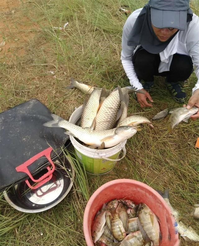 育儿心课堂|野钓渔获多少钓技术说了不算，密度才是决定性因素，有办法提高