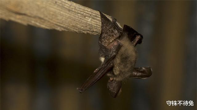 学霸 真实存在着，学霸也可能无法知晓的21个有趣冷知识