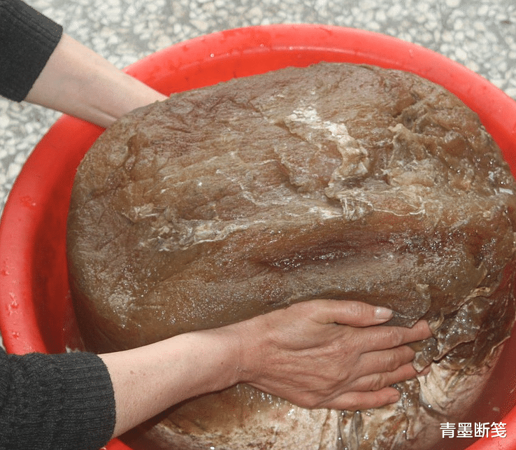 什么是太岁,不是植物不是动物的一坨“肉”,为什么能价值百万?