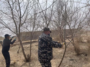 额济纳旗广播电视台 东风镇宝日乌拉嘎查开展主题党日活动