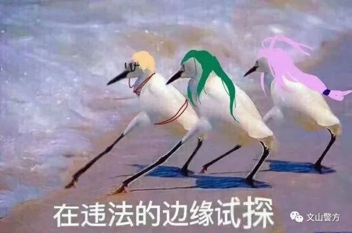 文山身边大小事 文山州多人被抓!