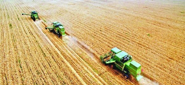 90后宝妈经验|“黑色产业”浮出水面,东北黑土正在被贱卖,有人净赚十多万